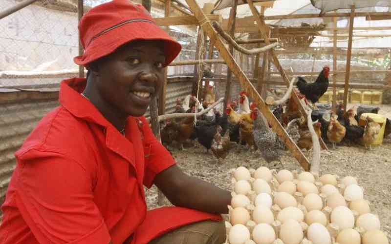 Cost-saving tips for every poultry farmer