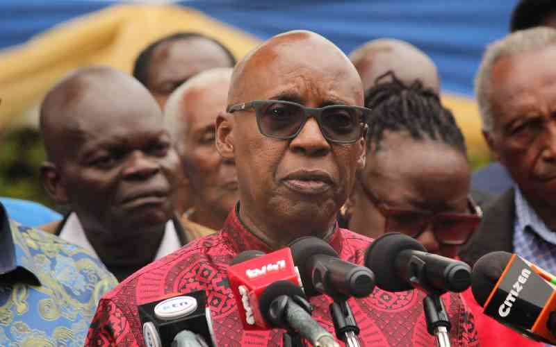 Wanjigi urges Africa to turn political freedom in economic power