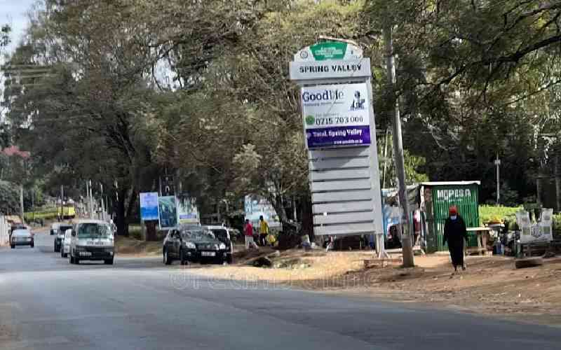 How Lands Ministry issued two titles for Sh1.35 billion Spring Valley property