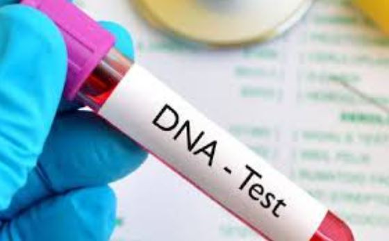 DNA tests go up by Sh7,000, says KEMRI