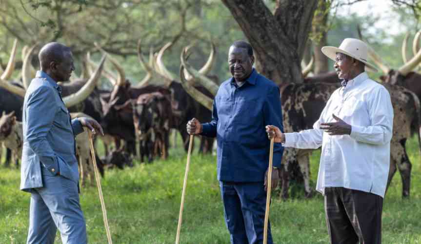 Ruto, Raila, meet at Museveni's home in Kisozi, Uganda