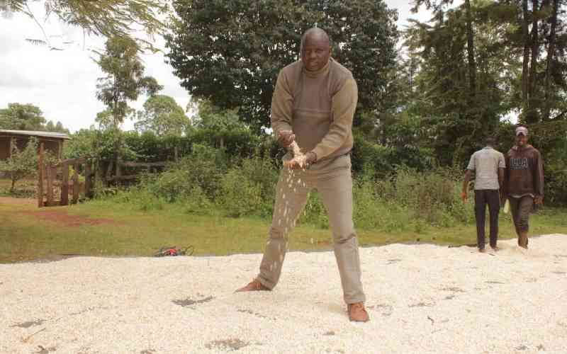Maize farmers reject Sh4,000 per bag, want State to buy at Sh5,500