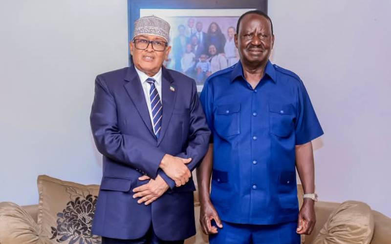 Raila meets Somaliland's President Irro in Nairobi