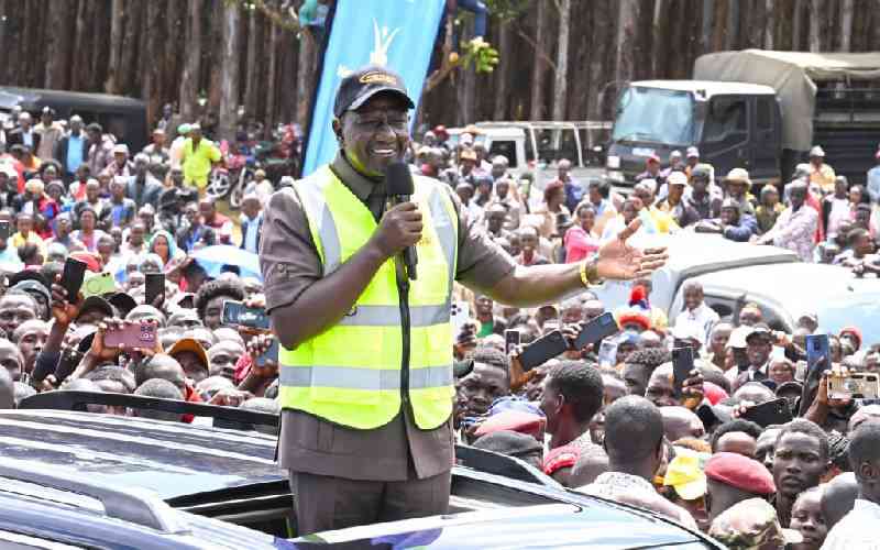 Don't 'place' me in coffins, Ruto warns youth