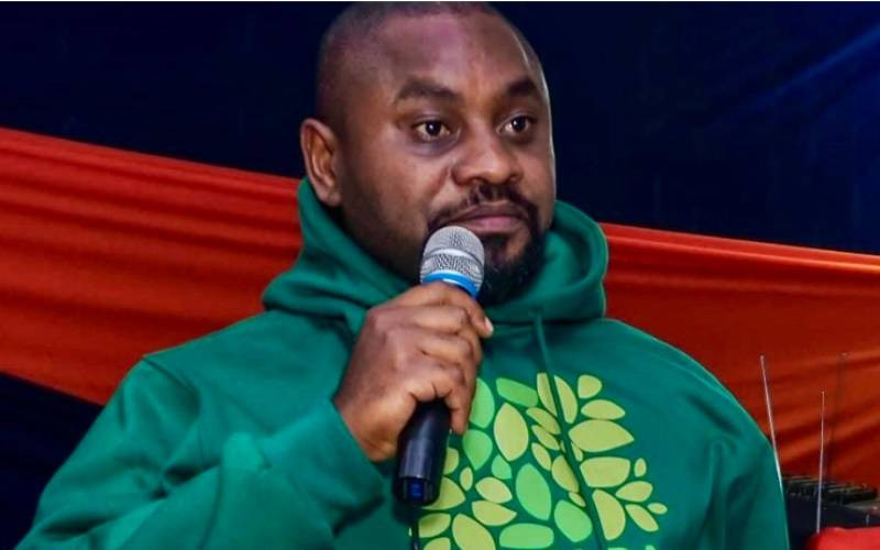Kenyan activist Mwabili Mwagodi reported missing in Tanzania