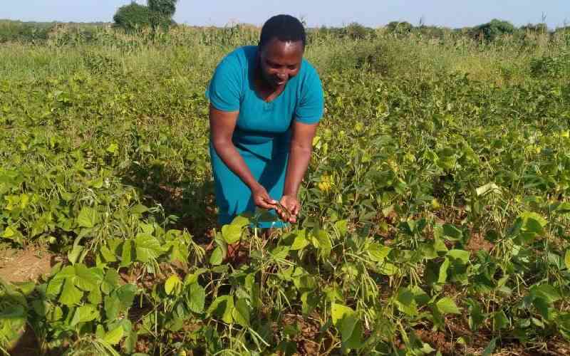 Stakeholders urge farmers to go for crops that thrive in harsh times