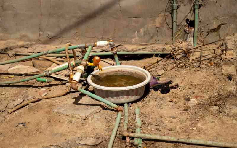 Water salinity hurting farmers, livestock in Iraq