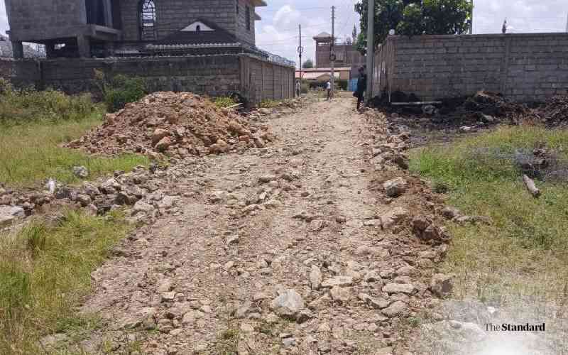 Standard Sacco estate seeks DCI probe over road