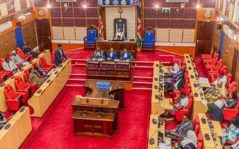 Senators clash over seven Cabinet Secretaries accompanying Ruto to UN meeting