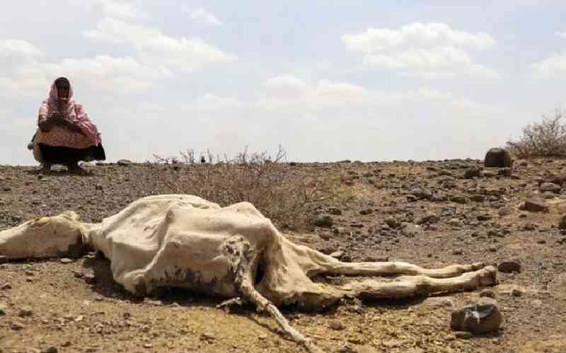 Human-caused climate crisis fueling drought in the Horn of Africa- study