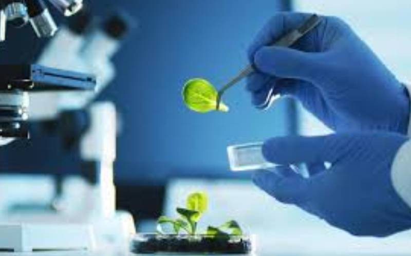 Calls for research and innovation to harness LREB economic potential