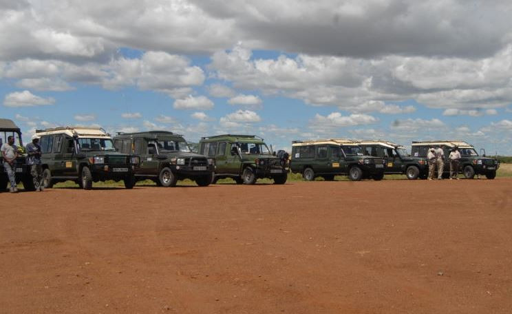 A storm and wild tales in Naboisho