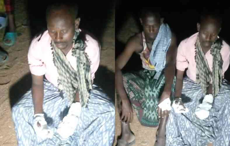 Two sustain injuries after attack by hyena