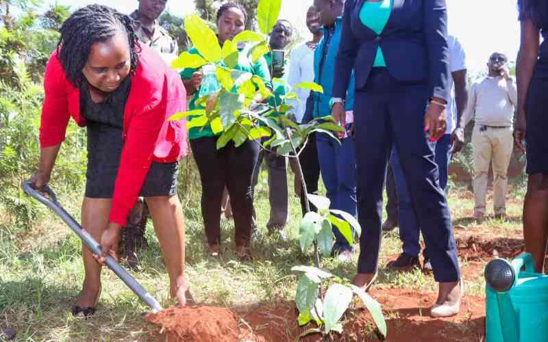 World Environment Day: Kenyans urged to plant trees to tame climate change effects
