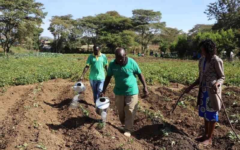 Irrigation best way out of perennial food shortages