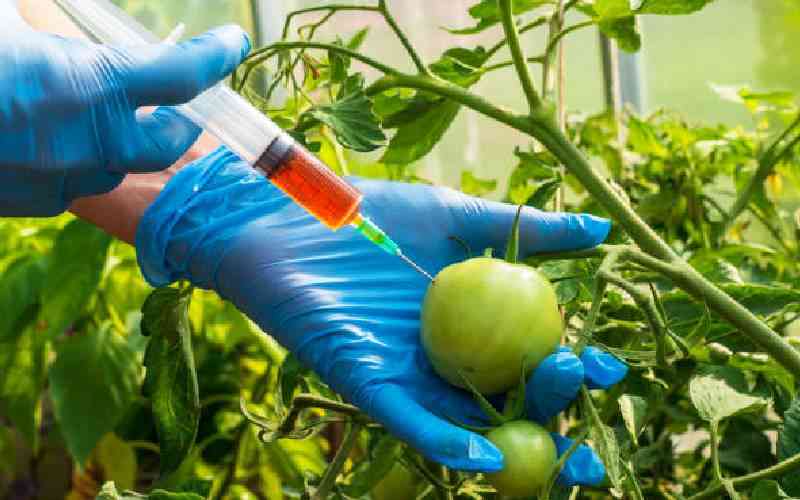 Don't shove GMO foods down Kenyans' throats