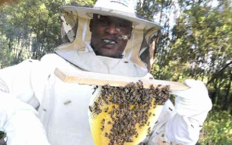 Beekeepers want ban lifted