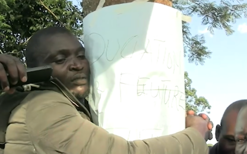 Kitale man chased from tree-hugging attempt after rejecting MP's Sh53,000 donation