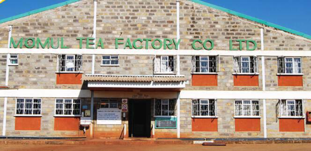 Armed gangsters rob the ex-tea factory director and abduct him