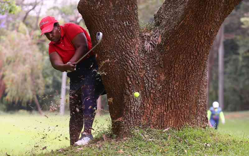 Wheat separated from chaff at Standard County Golf Classic