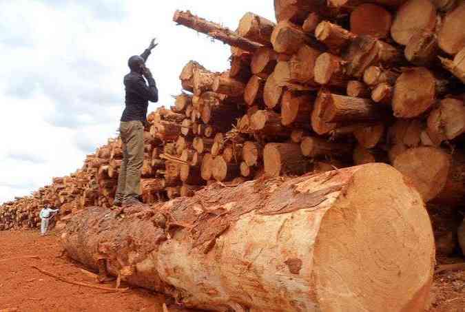Saw-millers in Baringo protest alleged discrimination in forest resource distribution