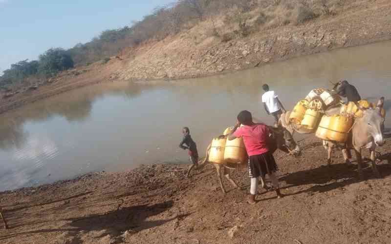 Below-average rains in September forecast as temperatures rise