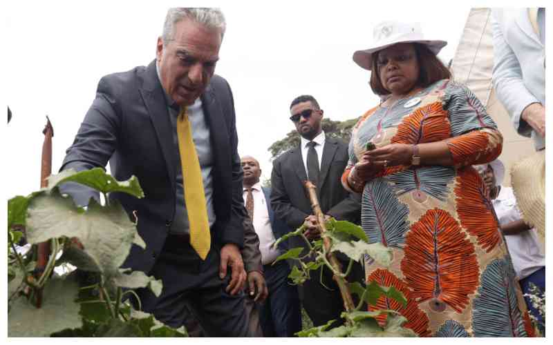How diversification from fruit farming boosts income for queens of the convent