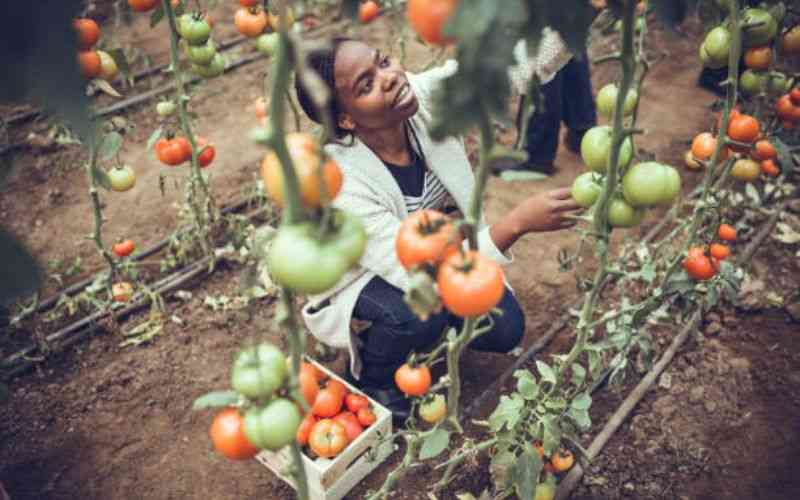 How women farmers can stabilise food systems