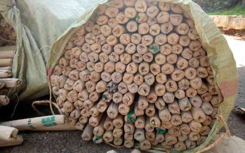 Police impound bhang worth Sh9 million in Bungoma