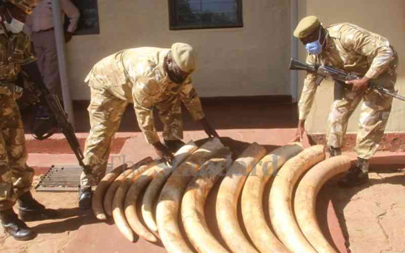 Why US-Kenya partnership on wildlife, drug trafficking matters