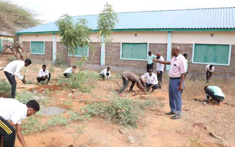 Students turn Mandera schools green despite harsh weather