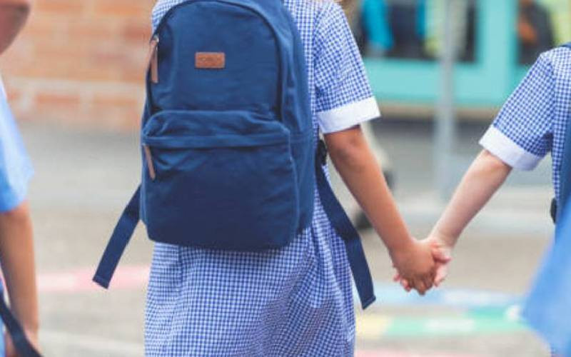 Report proposes common uniform for all schools