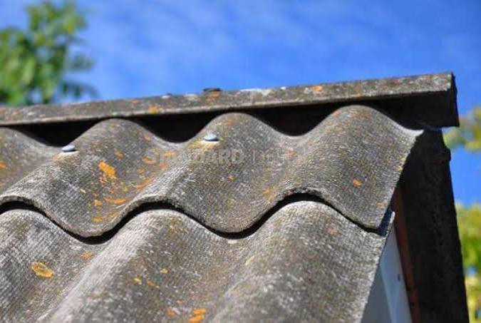 Here's why your roof faded fast