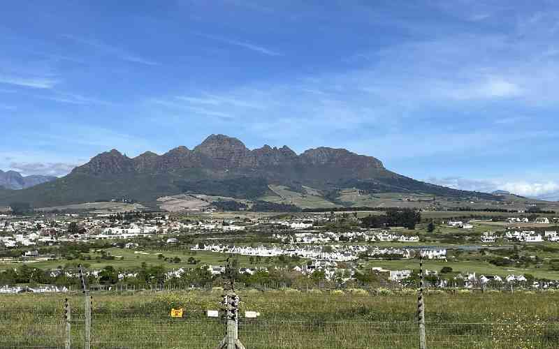 Kenya can have own Stellenbosch beyond wine and vineyards