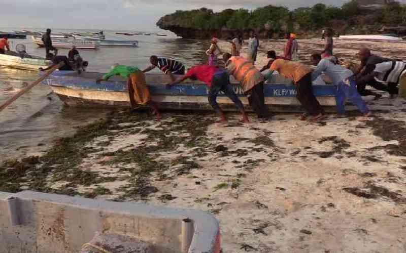 The ocean's best guardians are the coastal communities