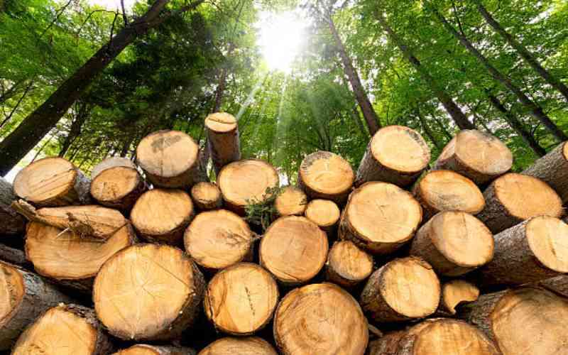 Environmentalists raise alarm over destruction of endangered trees in Taita Taveta