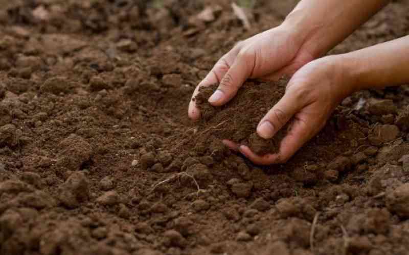 Crisis in the soil: Fertilizer shortage and depleting land risk food security