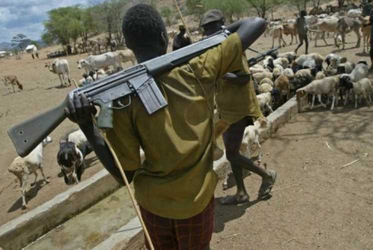 Ruto: Cattle rustling will stop na sio tafadhali