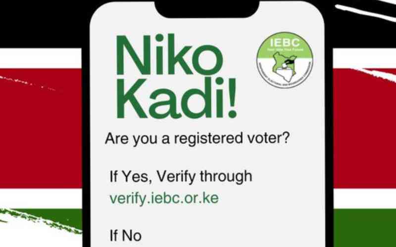 Gen Z ignites nationwide voter registration drive as IEBC falters