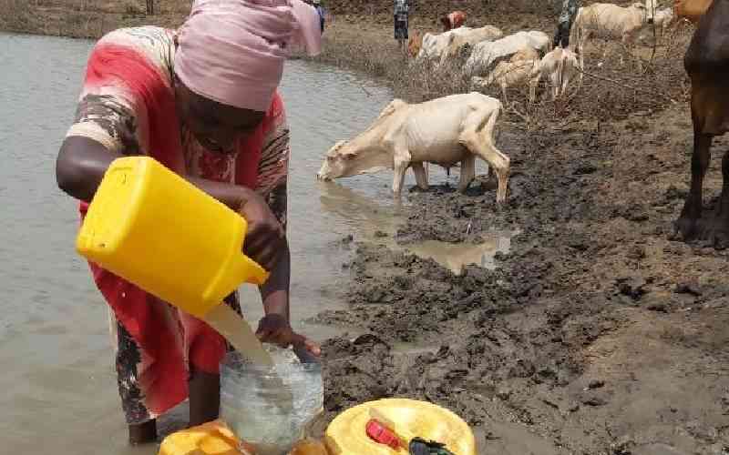 All ASAL counties have recovered from drought, new report shows