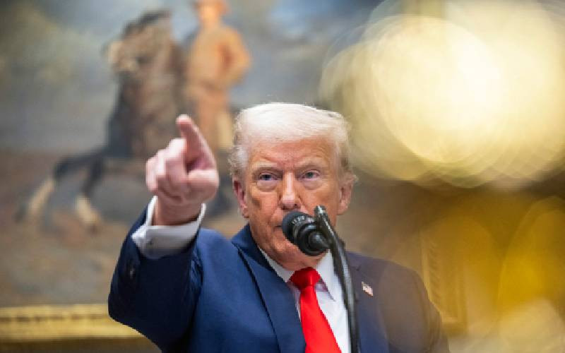 Congo, Somalia and Sudan among countries slapped with Trump's travel ban