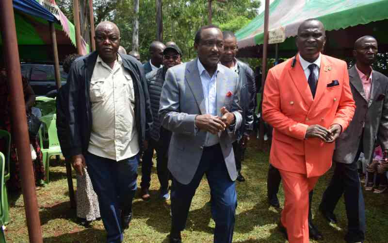 Kalonzo hints at United Opposition, Linda Mwananchi unity talks