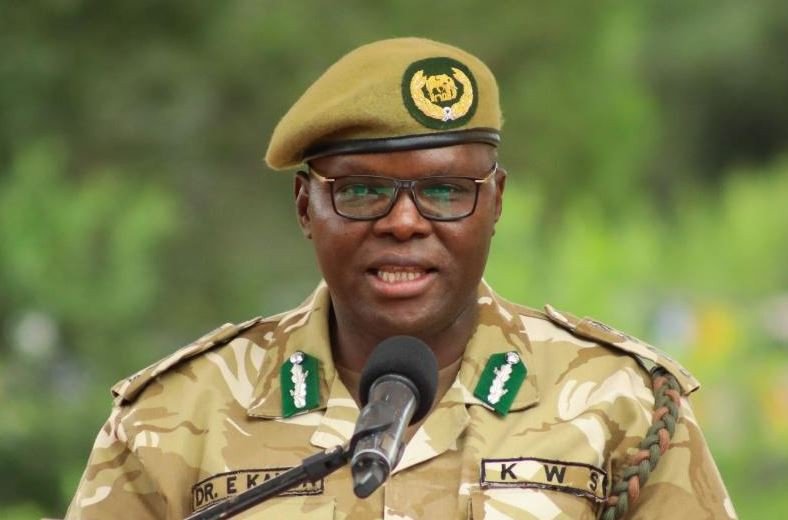KWS concludes public consultations on new park fees
