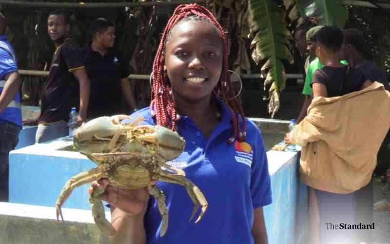 Initiative to create 150,000 jobs in aquaculture in six counties