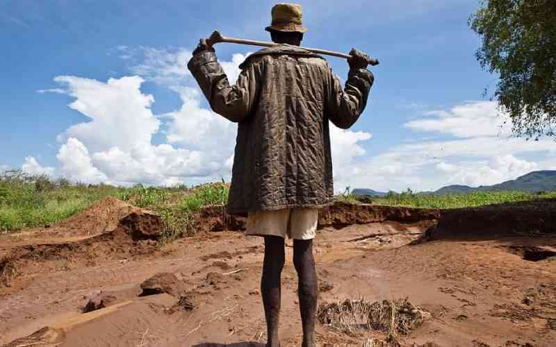 Governor Ayacko, NGOs target 14,000 farmers to restore degraded land