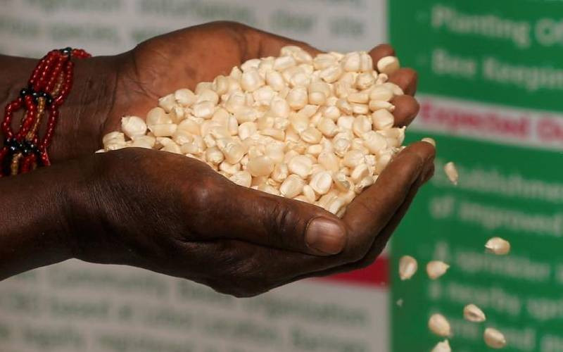 Farmers want court to decriminalise dealing in indigenous seeds