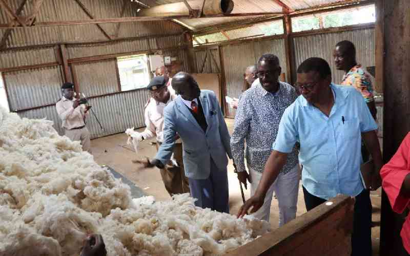 Government banks on seed distribution in efforts to revive cotton farming in western