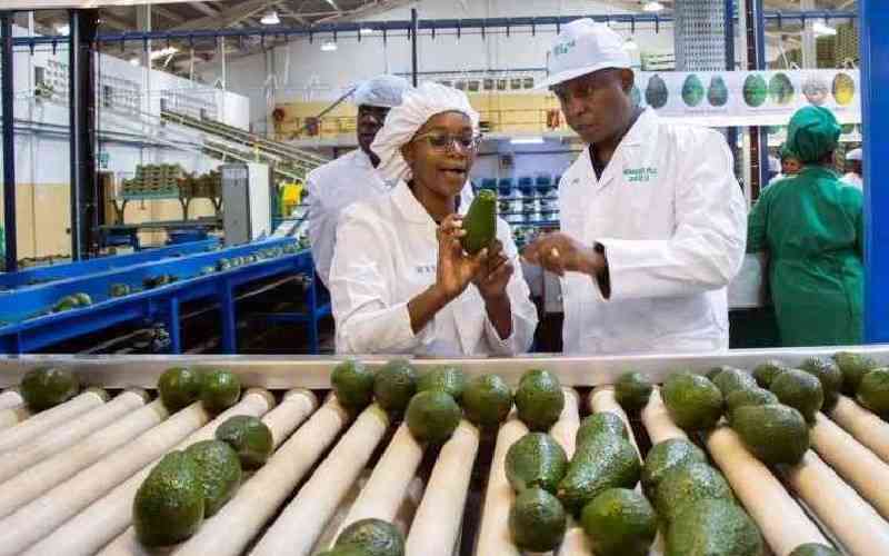 Kakuzi profits plunge amid Midle East war