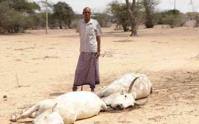 'I saw devastation, people stripped of everything but will to live'