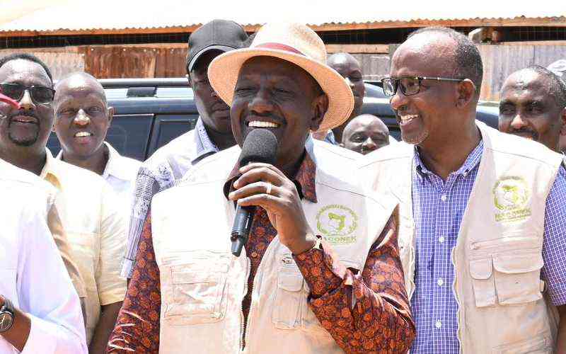 'I have a PHD, you can't teach me' Ruto tells off government critics